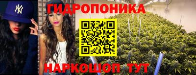хмурый Аша